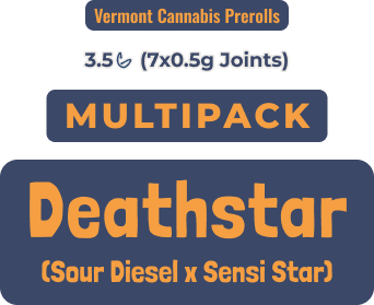 Rhize Multipack