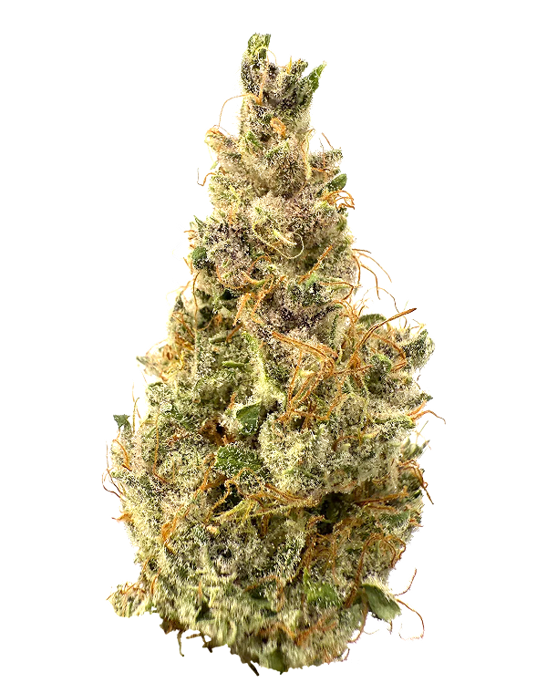 Dispensary Preorder - Rhize
